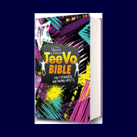 RHAPSODY OF REALITIES TEEVO BIBLE FOR TEENAGERS
